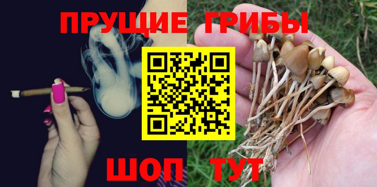 Галлюциногенные грибы MAGIC MUSHROOMS Кувандык