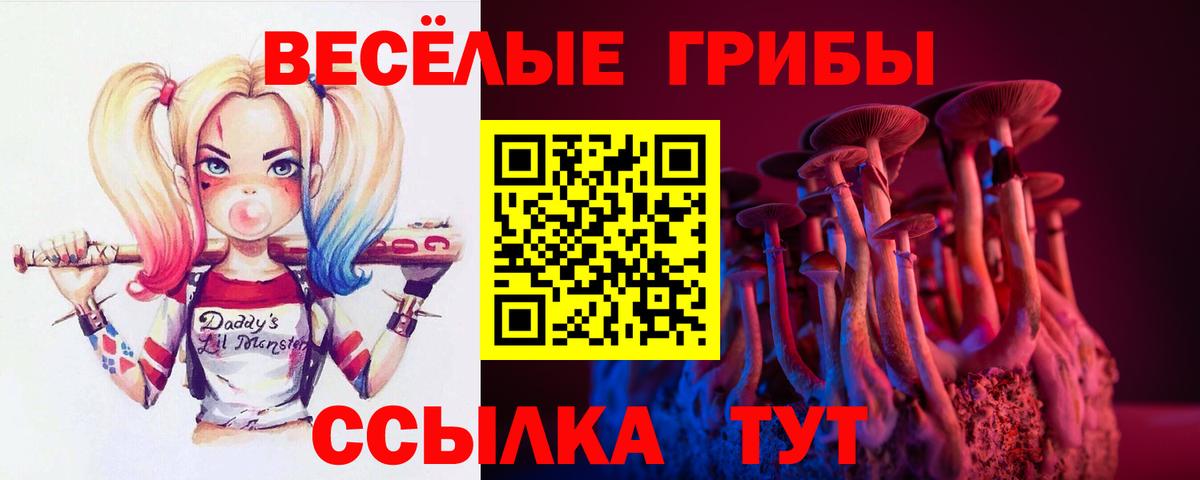 закладка  Вход с VPN  Кувандык  Псилоцибиновые грибы прущие грибы 